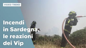 Incendi in Sardegna, le reazioni dei Vip